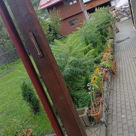 Pensiunea Carmen 3* Bucium (Alba)